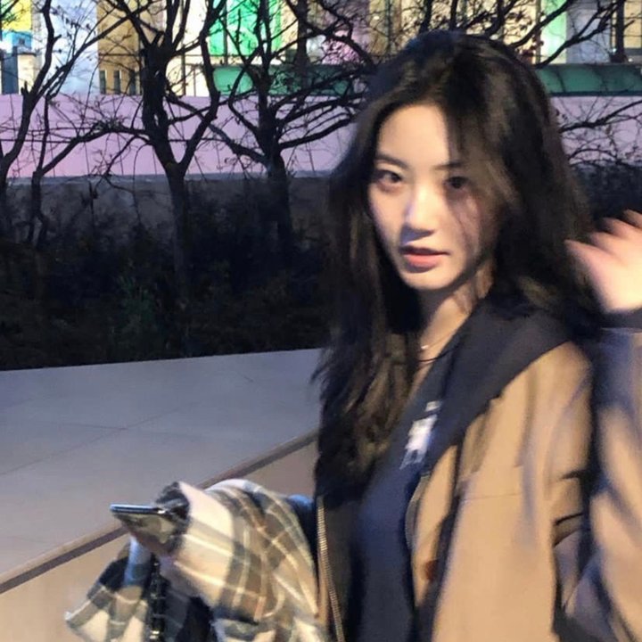 狐妖小红娘月红篇