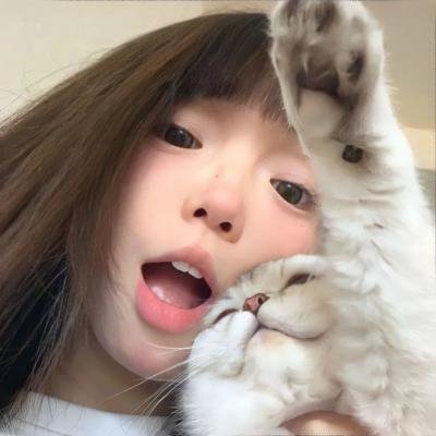 绝对舞力